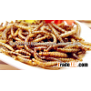 Excellent treats Dried mealworms for poultry