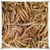 High Nutrition Pet Supplies Dried mealworms
