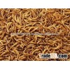 Nutrition Dried Mealworms Pet Supply