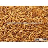 Nutrition Dried Mealworms for Pets