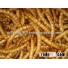 Bird Food Dried Mealworms - Bulk