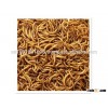 Pet Food Dried Mealworms - Bulk