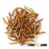 Mealworms Pet Food