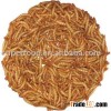 freeze dried mealworm bird food