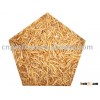 freeze dried high quality dried mealworm bird food