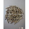 Sun Dried Barley Worm