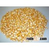 yellow corn animal feed