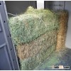 ALL YEAR ROUND ALFALFA HAY AVAILABLE