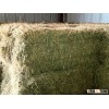 BEST TOP QUALITY ALFALFA HAY