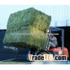 ALFALFA HAY IN BALES, SINGLE PRESS