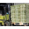 Fresh Alfafa Hay for sale