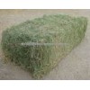 Grade A Alfalfa Hay