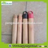 high quality eucalyptus varnished broom stick with plastic end