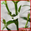 2016 hot sale tomato durable plastic ring gardening tie vine plant support clips
