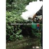 ORIOLE OR-F01 ULV Fogging Machine as garden tool