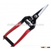 Sharp shears for cutting fruit