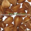 Roasted Buckwheat kernel