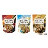NISSIN Gorotto Granola Wheat Grain Cereal Fruit Vegetable Soybean MADE IN JAPAN