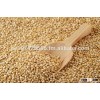 White Quinoa - Organic