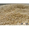 Peruvian Quinoa Grains Organic And Conventional