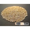 ORGANIC - SESAME SEEDS