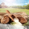 Ukraine durum wheat flour hot sale
