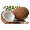 500gm High Quality Coconut Flour