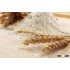 Fresh Wheat Flour Supplier in UAE/Dubai/Kuwait