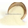 durum wheat semolina flour