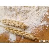 Wheat Flour