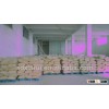 FISH FOOD 75% VITAL WHEAT GULTEN