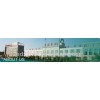 vital wheat gluten (VWG)factory