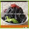 Organic black bean pasta food instant noodles