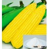 Native Food Grade Corn Starch / Tapioca Starch Food Grade