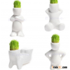 4 shape Choose DIY Mini Novel Bonsai Grass Doll Hair White Lazy Man Plant Garden