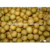 longan fruit trees