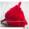 100% Fresh Mult-colored Preserved Rose Flower Wholesale