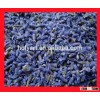 hot sale lavender dried flowers