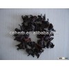 dried and natural Hibiscus flower