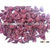 Hibiscus flower
