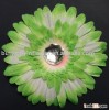 [daisy],gerbera daisy,[gerbera daisy]