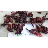 Dry Hibiscus flower FDA Approved