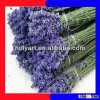 hot sale dried lavender