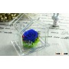 High Quality Real Preserved Roses Flowers In House-shape Glass Wholesale For Gift