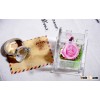 Best Holiday Gift 100% Natural Preserved Flower In Crystal Glass