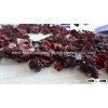 DRY HIBISCUS FLOWER