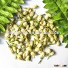 molihua dry flower jasmine flower bulk jasmine flowers