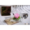 High Quality Purple Preserved Roses Flowers In House-shape Glass Wholesale For Gift