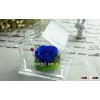 High Quality Preserved Orchid Flowers In House-shape Glass Wholesale For Gift