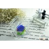 Crystal Bridal Party Gifts 100% Natural Preserved Flower In Crystal Glass
